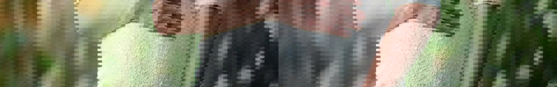 Mhd Package Banner Min