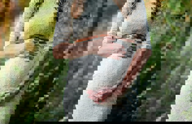 Mhd Package Banner Min